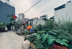 Bán đất mặt tiền rộng, vị trí tiềm năng tại Đại Cát... Bán đất tại Thượng Cát, Hà Nội 01