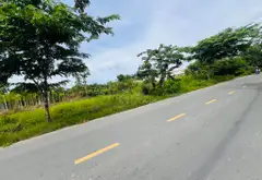 Bán đất mặt tiền kinh doanh đường Ngô Quang Thắm, xã Nhơn Đức... Bán đất tại Hiệp Phước, Hồ Chí Minh 05