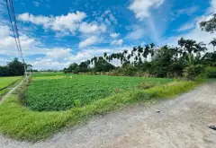 Bán đất quận 12, Thạnh xuân 33, diện tích lớn 4819m2, mặt tiền rộng 37m... Bán đất tại Thới An, Hồ Chí Minh 05