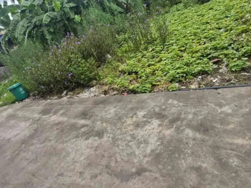 Bán đất mặt tiền 7.5m thôn 6, Thiên Hương, Thủy Nguyên, Hải Phòng... Bán đất tại Thiên Hương, Hải Phòng 01