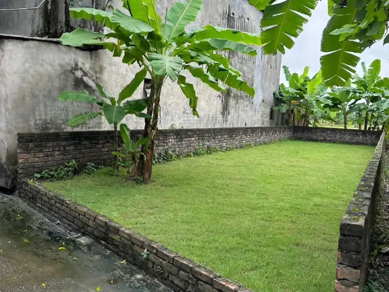 86M ĐẤT MT 4.5M CD 21M TRUNG LÊ NHƯ QUỲNH,PHÙ HỢP XÂY Ở VÀ CHO THUÊ TRỌ CÓ DÒNG TIỀN... Bán đất tại Tân Hưng, Hưng Yên 01