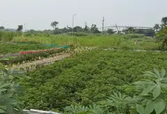 Bán đất KDC xã Đại Đồng diện tích 100m2 mặt tiền 5m giá 5.5 tỷ... Bán đất tại Đại Đồng, Bắc Ninh 06