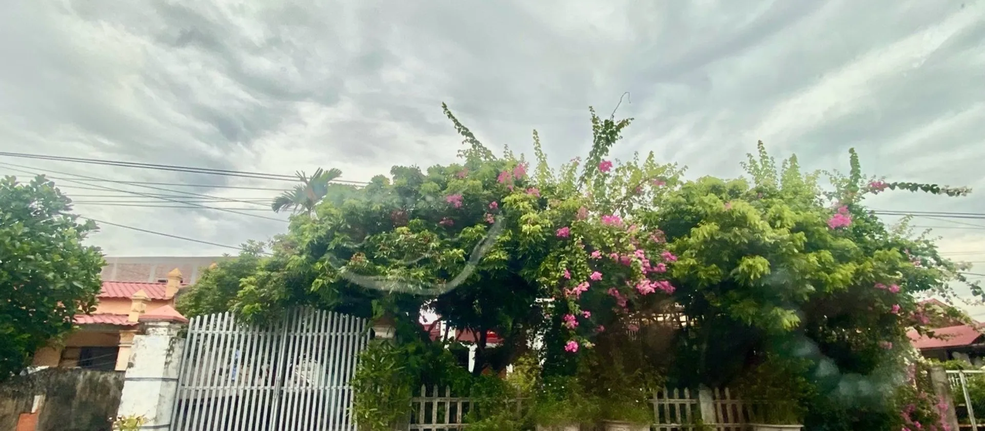 Nhà mặt phố sang trọng rộng 316m² tại xã Tân Dân, kết nối thuận tiện vùng An Lão... Bán nhà mặt phố tại An Lão, Hải Phòng 01