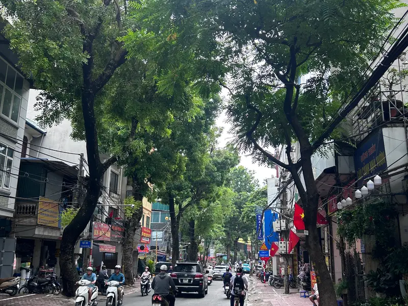 Bán nhà mặt phố phường Đồng Cổ, mặt tiền rộng 6m, phù hợp vừa ở vừa kinh doanh... Bán nhà mặt phố tại Tây Hồ, Hà Nội 01
