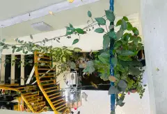 Bán nhà riêng 4 tầng tại khu vực phát triển, gần vành đai 4... Bán nhà riêng tại Hoài Đức, Hà Nội 08