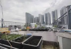 🔥 ( QUẬN 7 ) – NHÀ 4 TẦNG MẶT TIỀN D6, KHU VIP SAU ECOGREEN
Giá Chỉ 18,85 TỶ... Bán nhà mặt phố tại Tân Thuận, Hồ Chí Minh 06
