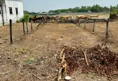 Bán đất 174m2 tại xã Du Thị Hồi, hướng Tây Nam, đường ô tô 5m, giá 1,7 tỷ đồng... Bán đất tại Bình Mỹ, Hồ Chí Minh 12