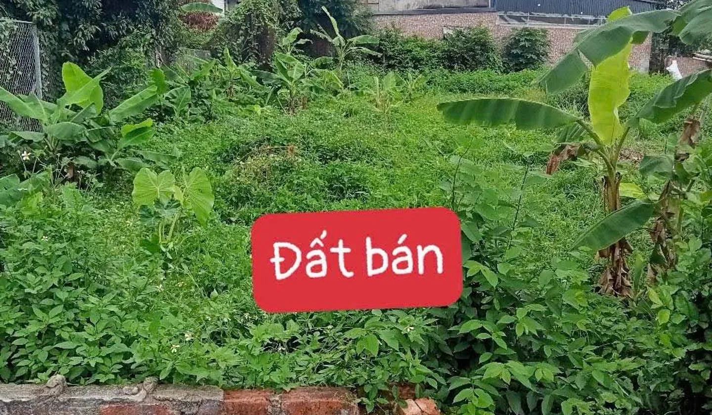 Đất đẹp rộng rãi, vị trí đắc địa, tuyệt vời cho cả an cư và đầu tư... Bán đất tại Kim Anh, Hà Nội 01