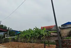 Đất lô góc thoáng mát tại Thủy Nguyên, Hải Phòng, khu dân cư văn minh... Bán đất tại Lưu Kiếm, Hải Phòng 06