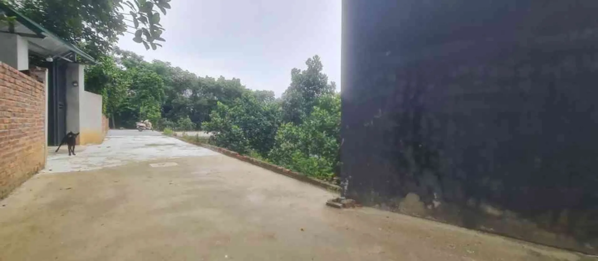 Cơ Hội Đầu Tư Đất Xây Dựng Tại Bắc Ninh... Bán đất tại Phật Tích, Bắc Ninh 01