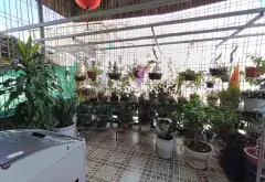 bán căn mặt ngõ 4 tầng độc lập dân xây kiên cố tâm huyết phố 155 TRẦN NGUYÊN HÃN, vài bước ra đường... Bán nhà riêng tại Lê Chân, Hải Phòng 07