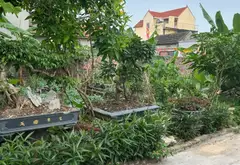 Bán đất thôn 4, xã Kiền Bái, Thủy Nguyên - Lô 63m² ô tô đỗ cửa, hướng Tây Nam... Bán đất tại Thủy Nguyên, Hải Phòng 03