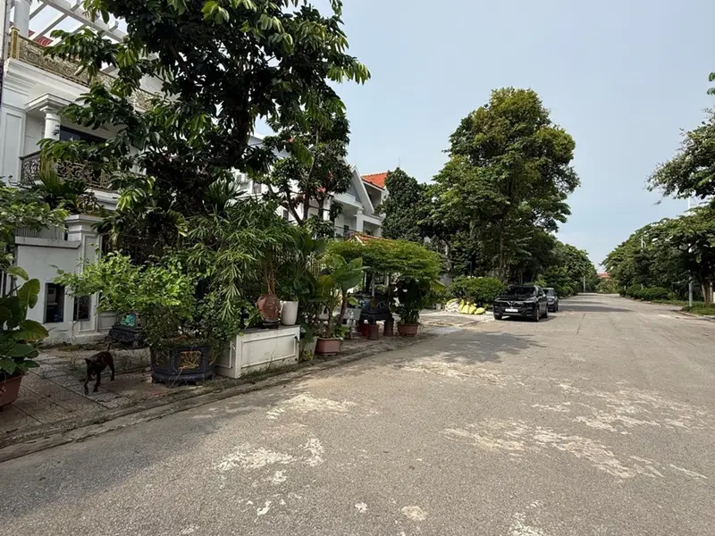 Biệt thự Pháp sang trọng tại Long Việt Riverside, tặng full nội thất tiền tỷ... Bán biệt thự, liền kề tại Quang Minh, Hà Nội 01