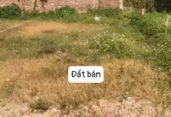 Cơ hội sở hữu đất vàng Kim Anh giá tốt không nên bỏ lỡ... Bán đất tại Kim Anh, Hà Nội 06