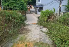Đất nền Việt Hưng giá hời, đầu tư hay an cư đều hợp... Bán đất tại Việt Hưng, Quảng Ninh 05