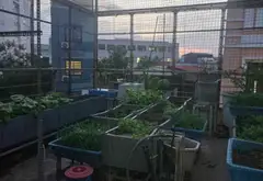 NGAY SÁT NHÀ THỜ LỚN - MẶT PHỐ CỔ KINH DOANH MỌI MẶT HÀNG - VÀI BƯỚC RA CHECKIN NHÀ THỜ - HỒ GƯƠM... Bán nhà mặt phố tại Hoàn Kiếm, Hà Nội 11