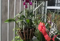 Bán chung cư mini tầng 7 tại Kim Hoa, căn góc view hồ Ba Mẫu... Bán chung cư mini tại Đống Đa, Hà Nội 13