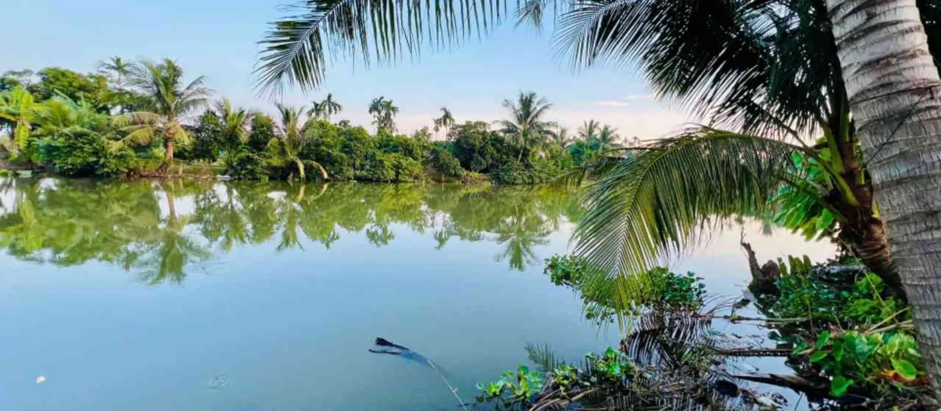 Đất đẹp An Trường, ngõ thông, giá hợp lý... Bán đất tại An Lão, Hải Phòng 01