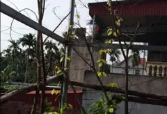 Nhà mặt phố 2 tầng rộng 200m2 gần khu công nghiệp, tiện kinh doanh đa năng... Bán nhà mặt phố tại Thiên Hương, Hải Phòng 04
