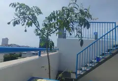Bán toà nhà căn hộ 6 tầng mặt phố xã Phan Đăng Lưu, mặt tiền 10m, thu nhập ổn định gọi 0962273945... Bán nhà mặt phố tại Hòa Cường, Đà Nẵng 08