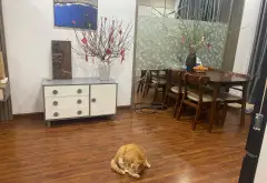 Căn hộ chung cư 2 phòng ngủ tại quận 176 Định Công, với vị trí thuận lợi, sát vành đai 2.5.... Bán căn hộ chung cư tại Định Công, Hà Nội 09