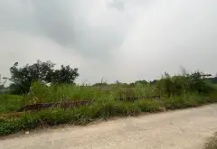 Cơ Hội Vàng Sở Hữu Đất Mặt Tiền Rộng Tại Soc Sơn, Minh Phú... Bán đất tại Sóc Sơn, Hà Nội 03