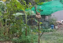 Bán đất 199m2 tại Đông Hòa, TP HCM, giá 5.6 tỷ... Bán đất tại Đông Hòa, Hồ Chí Minh 05