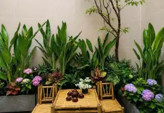 Nhà mới xây Đặng Nhữ Lâm - Sân trước sân sau, 3 phòng ngủ, giá tốt hiếm có... Bán nhà riêng tại Nhà Bè, Hồ Chí Minh 02