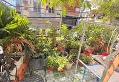 Nhà phố 5 tầng thang máy, vị trí đắc địa tại Nguyễn Oanh, tiện kinh doanh và cho thuê cao cấp... Bán nhà mặt phố tại Gò Vấp, Hồ Chí Minh 13