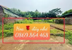 Đất Đẹp Giá Tốt Gần KCN Sốc Sơn – Mặt Tiền Rộng, Tiện Diện... Bán đất tại Kim Anh, Hà Nội 04