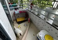 Bán nhà riêng 1 tầng diện tích 75.5m2 tại Bình Thạnh giá 3.5 tỷ... Bán nhà riêng tại Bình Thạnh, Hồ Chí Minh 08