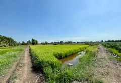 Bán đất 2000m2 mặt tiền kênh xã Lê Minh Xuân, Bình Chánh... Bán đất tại Bình Lợi, Hồ Chí Minh 08
