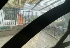Bán nhà riêng 4 tầng tại xã Dương Cát Lợi, Nhà Bè, mặt tiền rộng, pháp lý đầy đủ... Bán nhà riêng tại Nhà Bè, Hồ Chí Minh 14