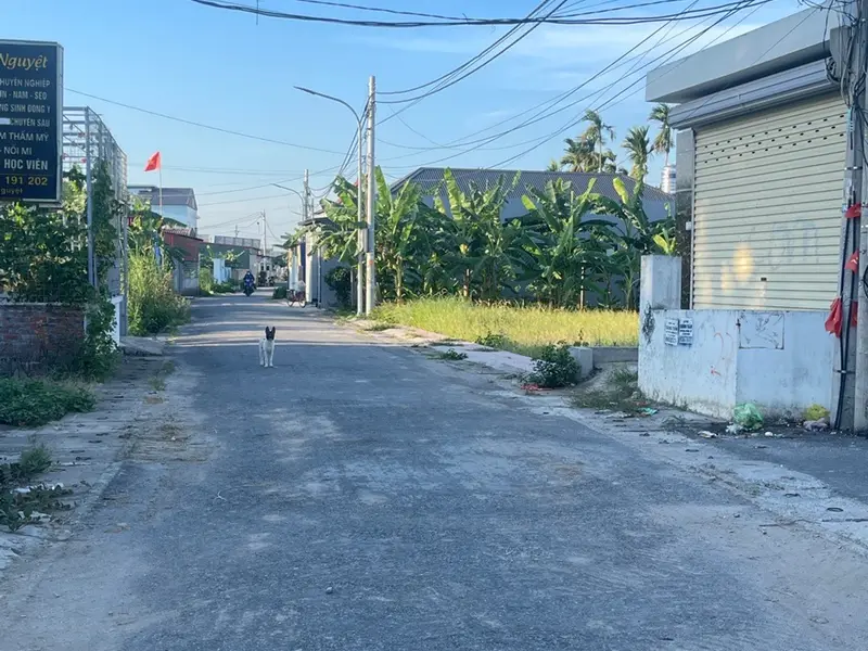 Đất lô góc mặt đường đại trang tại xã An Trường, huyện An Lão... Bán đất tại An Trường, Hải Phòng 01
