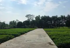 ĐẤT BẮC NINH GIÁ RẺ... Bán đất tại Hiệp Hòa, Bắc Ninh 07