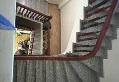 Bán nhà 3 tầng 5 phòng ngủ tại Dương Lôi, gần Hồ Điều Hòa... Bán nhà riêng tại Từ Sơn, Bắc Ninh 02
