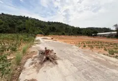 Lô đất vàng 94.6m² vị trí đắc địa, oto đỗ thoải mái... Bán đất tại Phù Lãng, Bắc Ninh 05