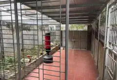 🚨 129M² MẶT PHỐ – 10,9 TỶ – CÓ SẴN DÒNG TIỀN!... Bán nhà mặt phố tại Kinh Bắc, Bắc Ninh 12