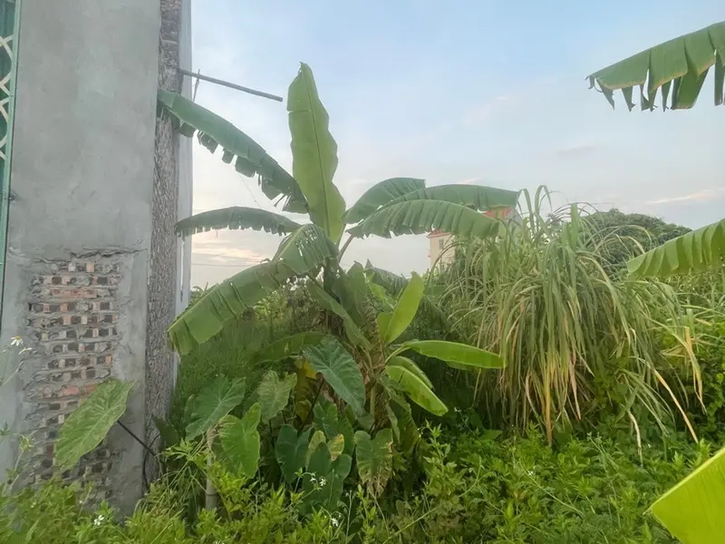 Đất đẹp Mão Điền giá tốt, ô tô vào tận nơi... Bán đất tại Mão Điền, Bắc Ninh 01