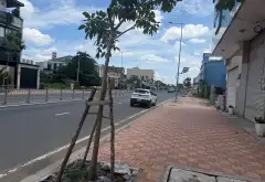 Bán đất mặt phố Nguyễn Ảnh Thủ, Hóc Môn diện tích 160m2, mặt tiền 8m... Bán nhà mặt phố tại Bà Điểm, Hồ Chí Minh 11