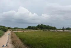 Bán đất khuôn viên lớn xã Bình Khánh, Cần Giờ, diện tích 17.436m2, giá 139 tỷ đồng... Bán đất tại Bình Chánh, Hồ Chí Minh 09