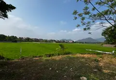 Đất Biệt Thự Nghỉ Dưỡng Tại Kim Anh, Hà Nội... Bán đất tại Kim Anh, Hà Nội 02