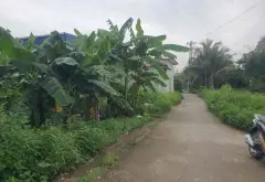 Đất Mặt Tiền Rộng 7m Tại Lâm Động - Vị Trí Vàng Gần Trục Đường 203... Bán đất tại Thủy Nguyên, Hải Phòng 08