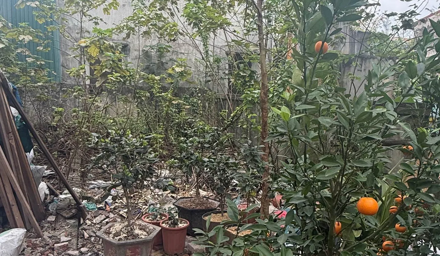 Bán đất 40m2 tại Nhị Khê, vị trí tiềm năng gần Vin Olympics và vành đai 4... Bán đất tại Thường Tín, Hà Nội 01