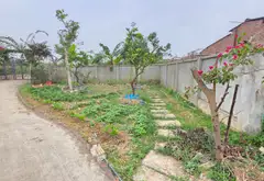 Nhà vườn rộng rãi cho cuộc sống trong lành tại Sóc Sơn... Bán nhà riêng tại Sóc Sơn, Hà Nội 06