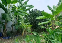 Bán đất mặt đường ô tô tránh, xã Nguyên Khê, Đông Anh, Hà Nội, vị trí gần dự án Vinhome... Bán đất tại Phúc Thịnh, Hà Nội 03