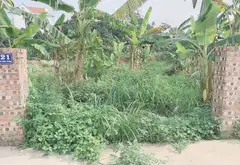 Cơ hội hiếm có sở hữu lô đất đẹp tránh ô tô tại xã Kim Anh, TP Hà Nội... Bán đất tại Kim Anh, Hà Nội 01