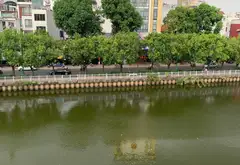 Nhà mặt phố Q3 view triệu đô, 5 tầng đúc kiên cố... Bán nhà mặt phố tại Nhiêu Lộc, Hồ Chí Minh 16