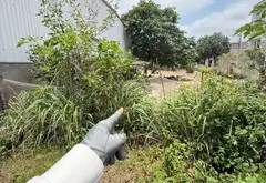 Bán đất phân lô tại trung tâm Ân Thi, Hưng Yên, mặt tiền rộng, thuận tiện kinh doanh... Bán đất tại Ân Thi, Hưng Yên 01