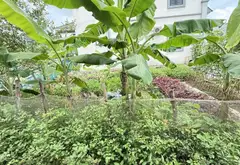 Lô Đất Hấp Dẫn Tại Xích Thổ - Ngõ Thông, Ô Tô Vào Tận Nơi... Bán đất tại An Hải, Hải Phòng 08